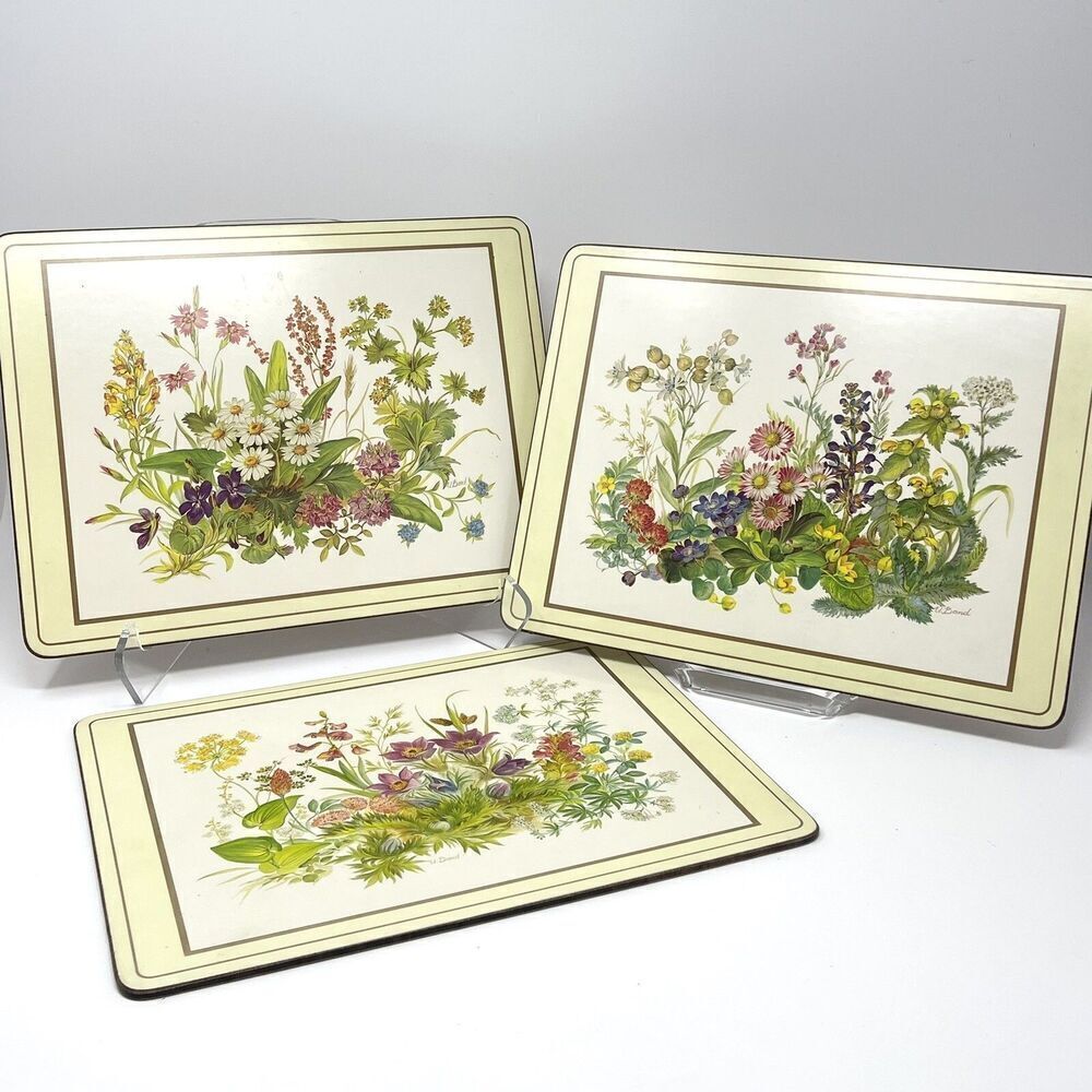 Vintage Pimpernel Hard Place Mats Meadow Flowers Cork Back 9” X 12” Set Of 3